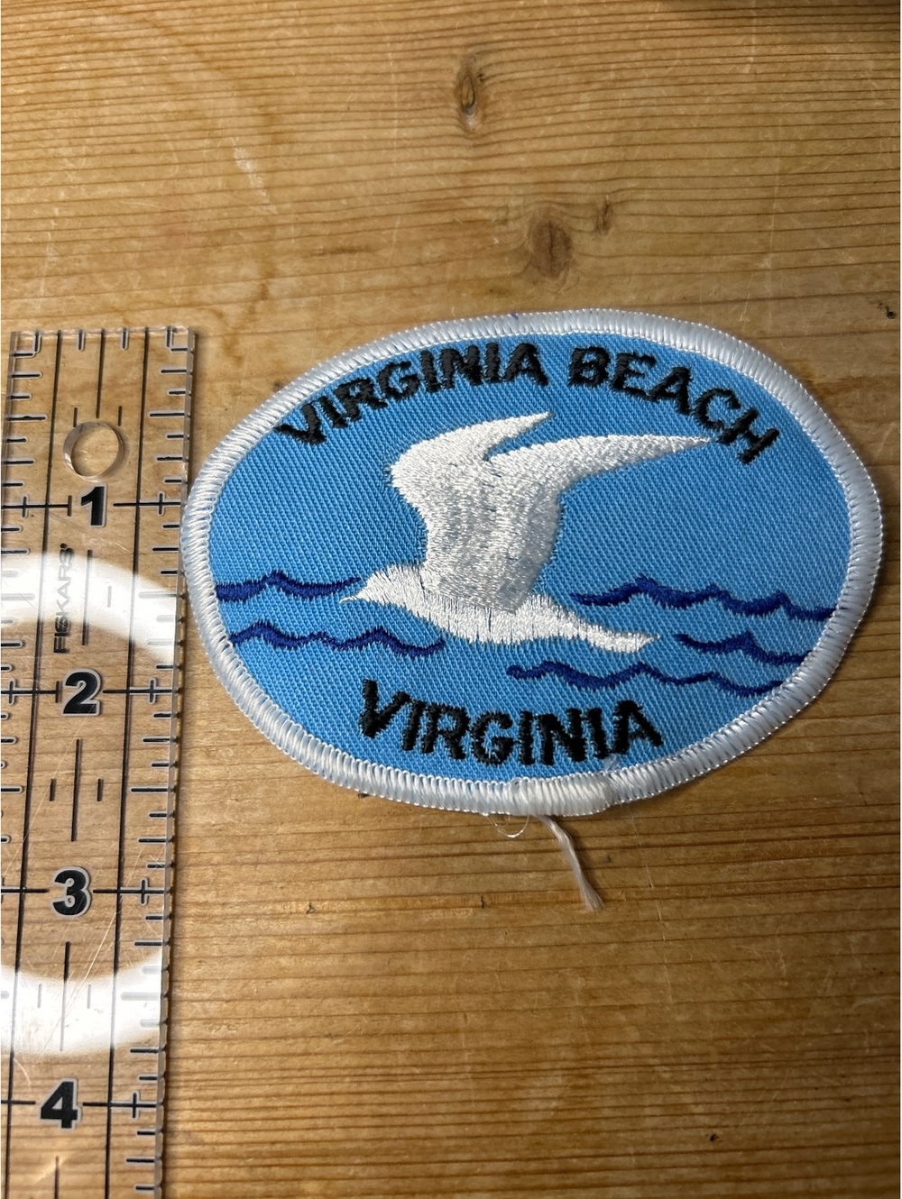 Virginia Beach Virginia Seagull Embroidered Patch
